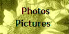  Photos
Pictures 