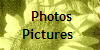  Photos
Pictures 