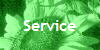  Service 