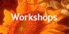  Workshops 