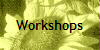  Workshops 