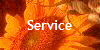  Service 