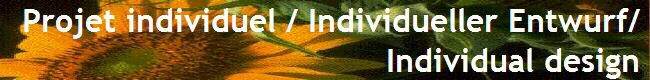  Projet individuel / Individueller Entwurf/ 
Individual design 